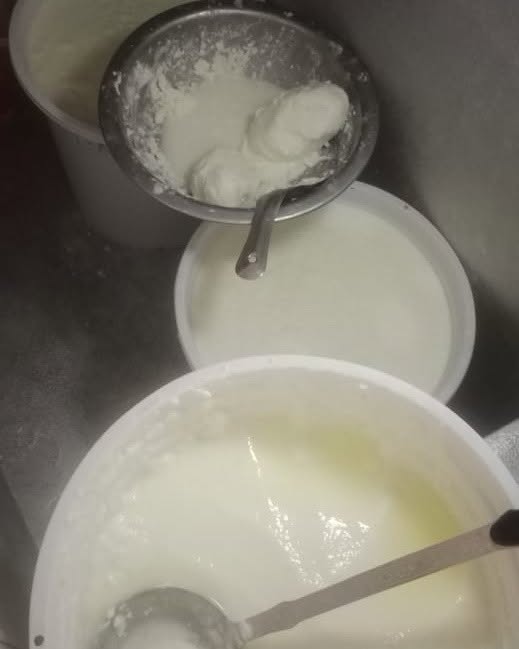 دودھ میں ملاوٹ کرنے والے عناصر اتھارٹی حکام کی گرفت میں